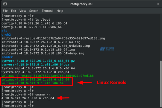 理解Linux文件系統(tǒng)樹的完整指南