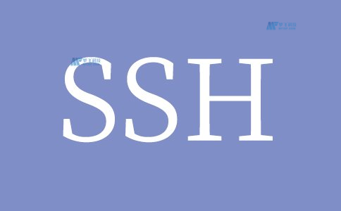 Linux系統(tǒng)服務(wù)器運(yùn)維方案