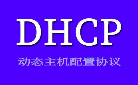 什么是DHCP客戶端ID？
