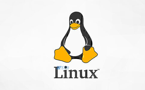 美國(guó)Linux服務(wù)器系統(tǒng)常用的操作技巧