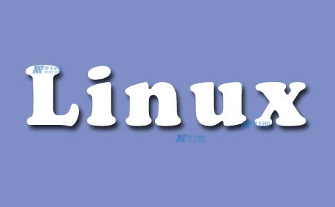 Windows vs Linux服務器系統(tǒng)：小白選擇哪個更合適？