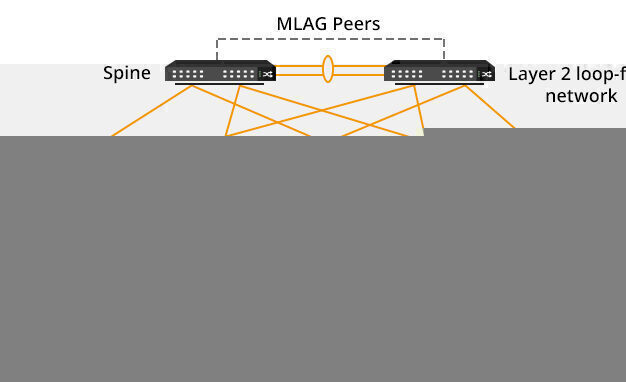 美國服務(wù)器的硬盤數(shù)據(jù)恢復(fù)工具解析